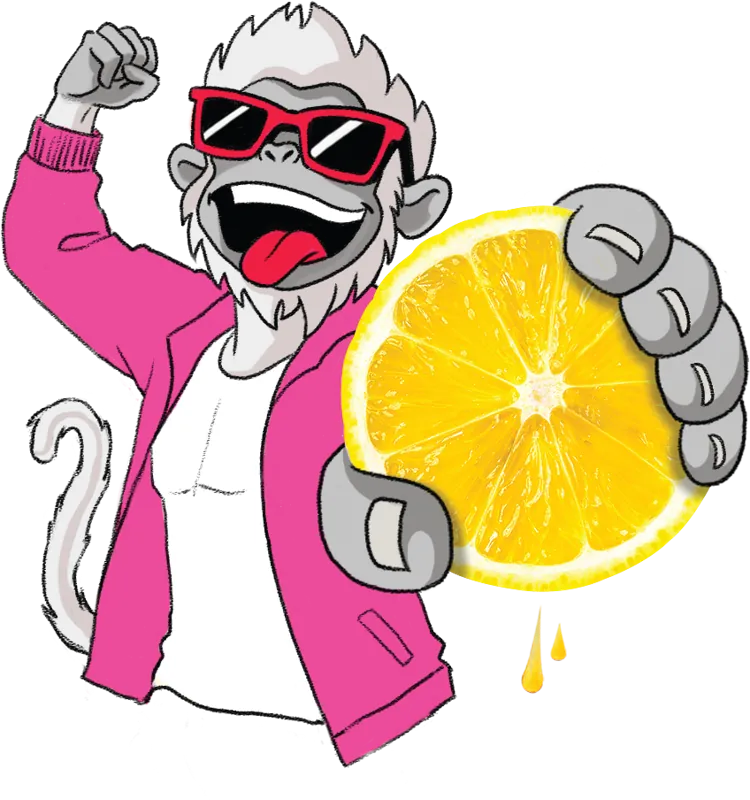 The Awara langur holding a lemon