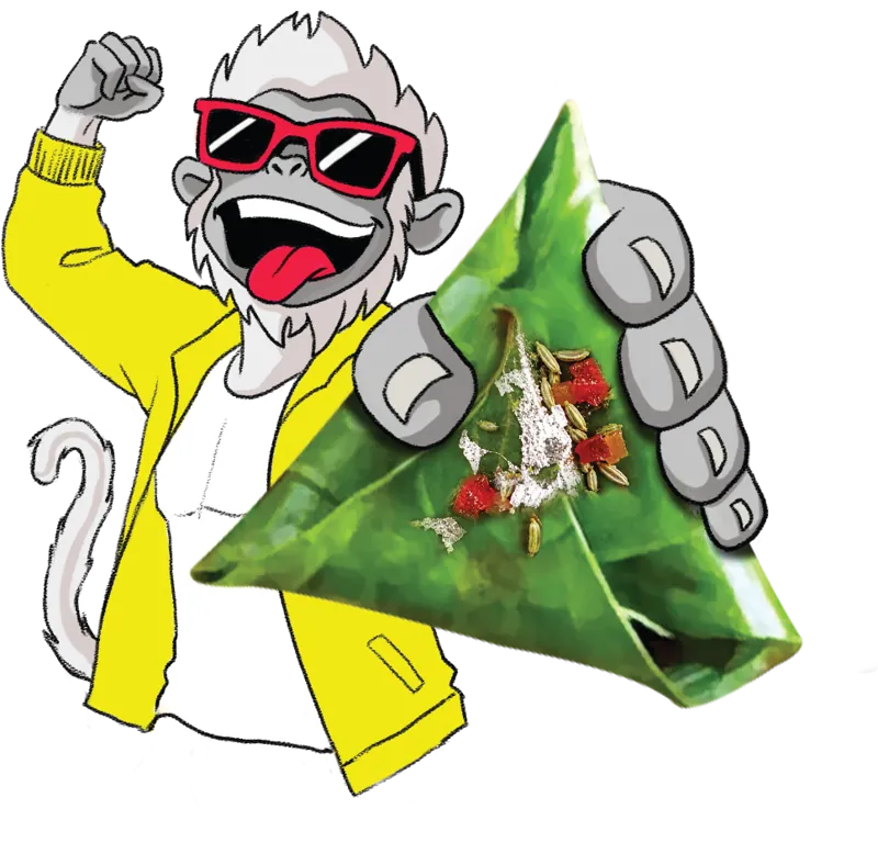 The Awara langur holding a Banarasi paan